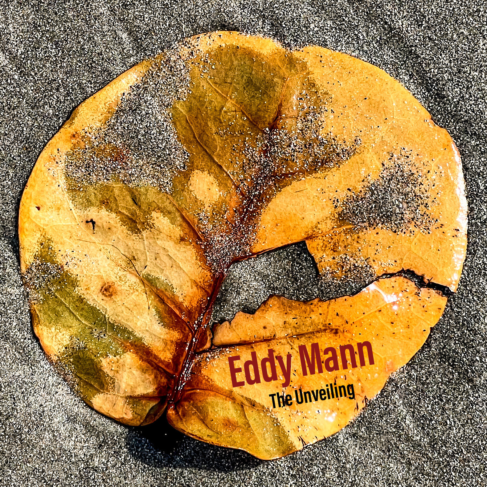 Eddy Mann - I'm Coming (Remix)